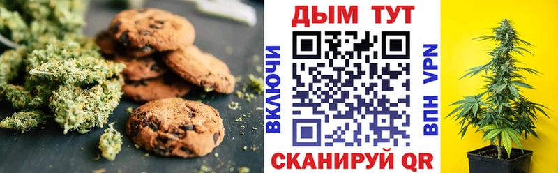 даркнет сайт  Заозёрный  МЕГА онион  Cannafood конопля 
