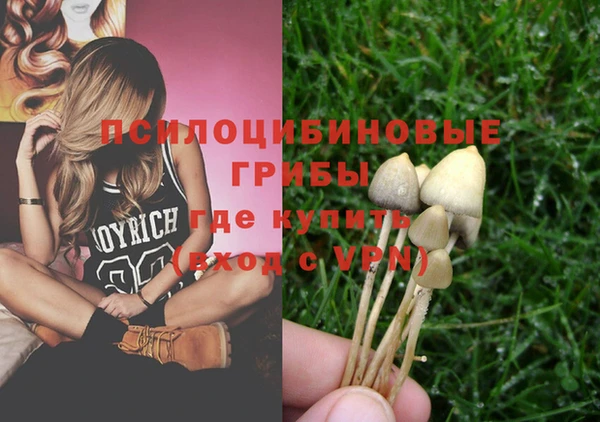 jwh Богородицк