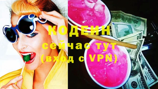 прущие грибы Ельня