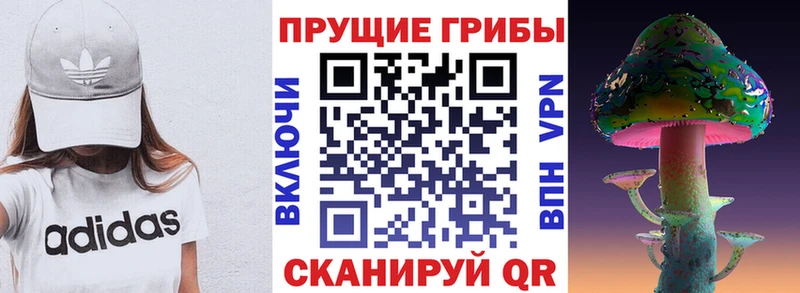 Галлюциногенные грибы прущие грибы  как найти закладки  Заозёрный 